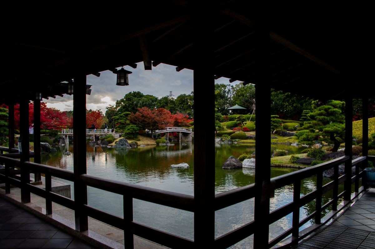 ใบไม้เปลี่ยนสี Daisen Park Japan Garden โอซาก้า