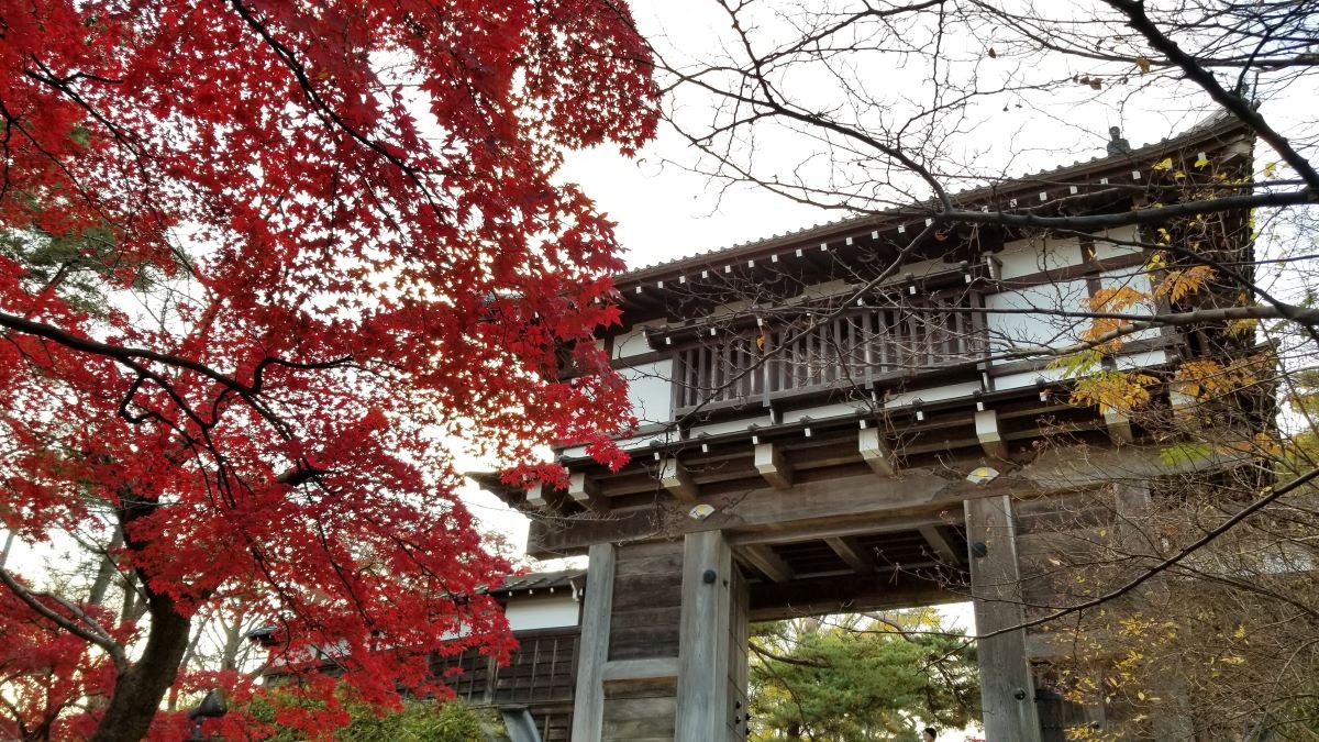 紅葉 千秋公園 日本秋田縣