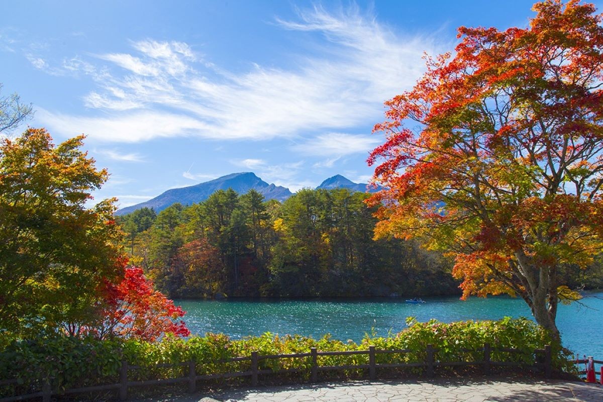 紅葉 五色沼 福島縣