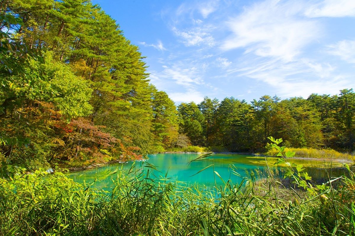 紅葉 五色沼 日本福島縣