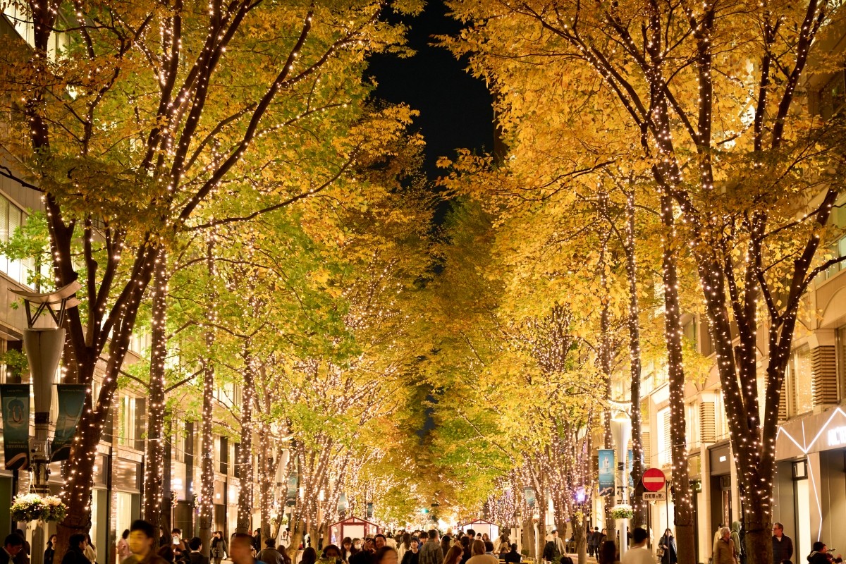 Tokyo Desember Cuaca Pakaian Ciri Khas Suhu