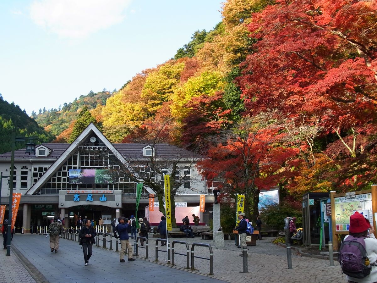 紅葉 東京都 高尾山 見頃 いつ おすすめ