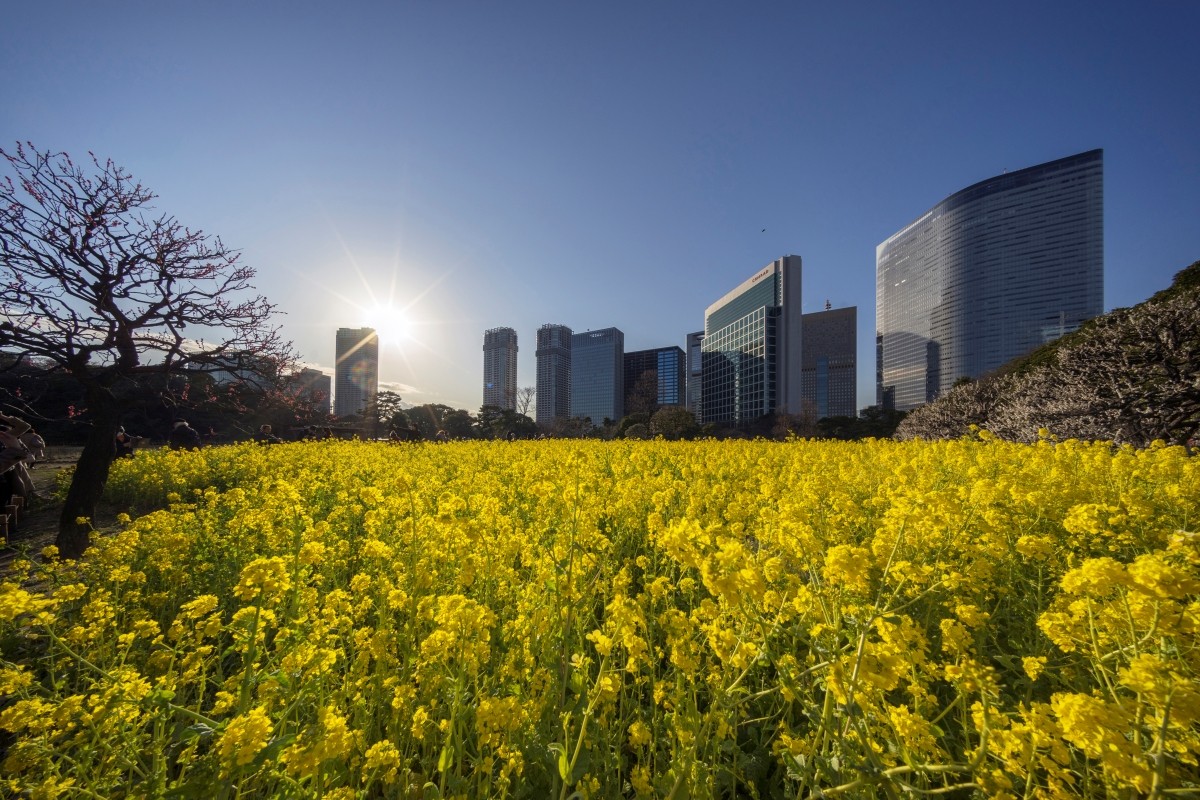 Tokyo Februari Cuaca Pakaian Karakteristik Suhu