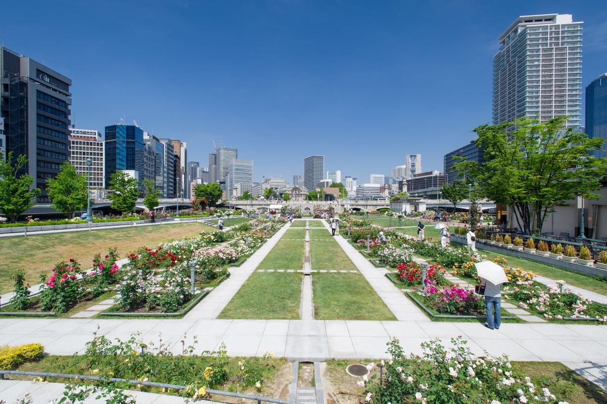 大阪 中之島玫瑰園