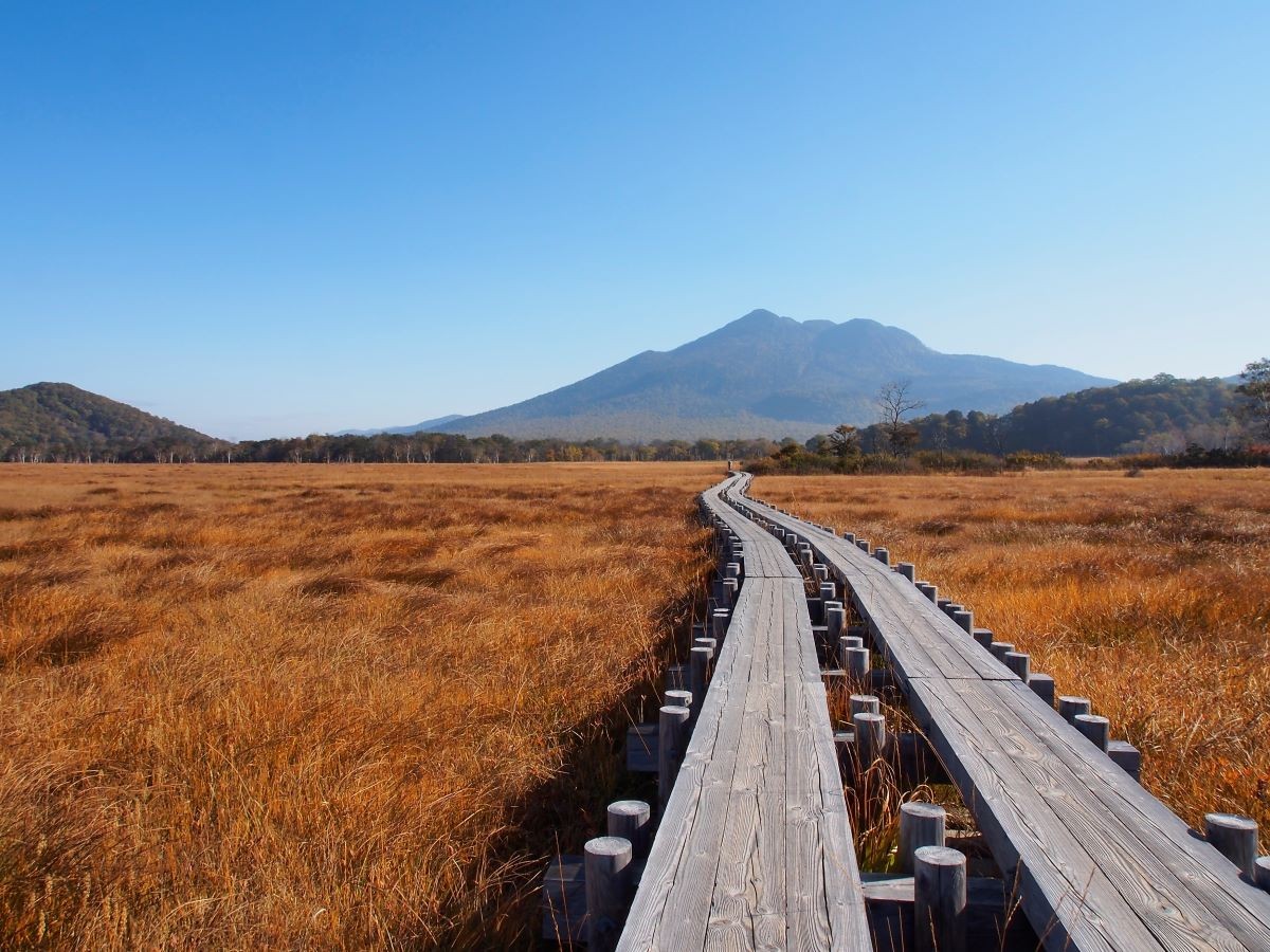 紅葉 群馬県 尾瀬ヶ原  見頃 いつ おすすめ