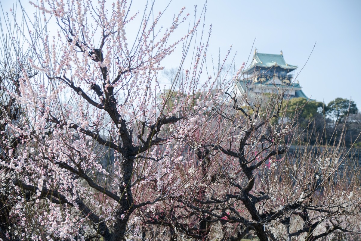 Osaka February Weather Average Temperature Features Clothing