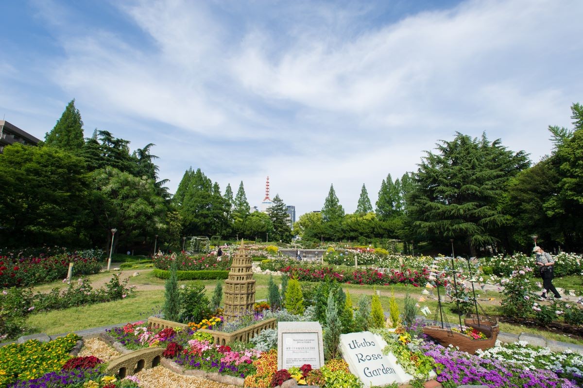 大阪 靱公園玫瑰祭