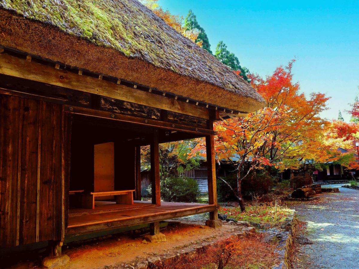 Momiji Gokanosho Kumamoto