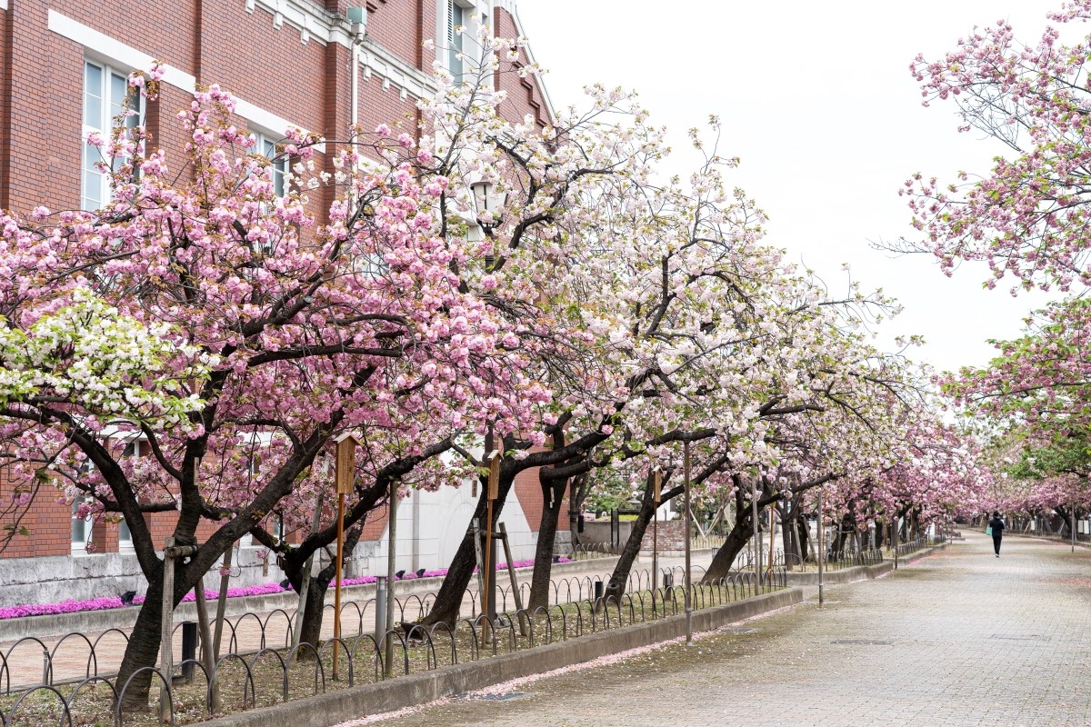 Osaka March Weather Average Temperature Features Clothing