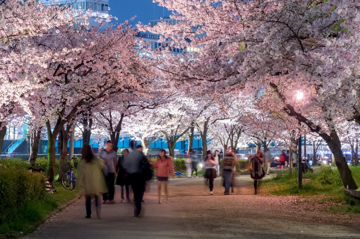Osaka April Weather Average Temperature Features Clothing