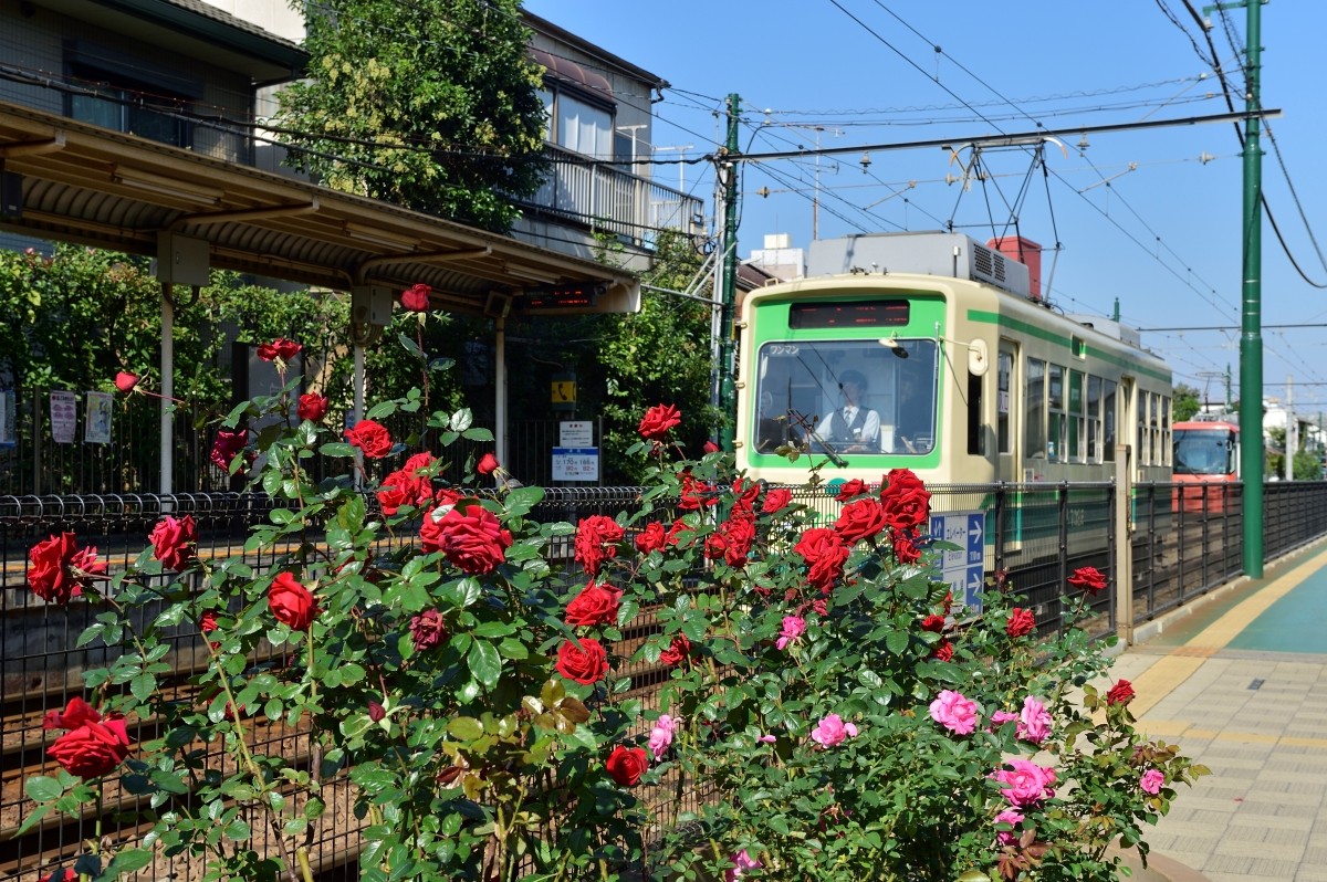 Tokyo Mei Cuaca Pakaian Ciri Khas Suhu