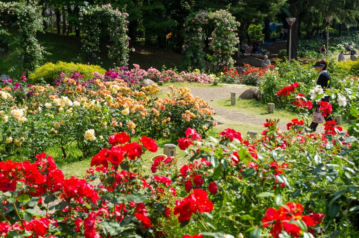 Osaka May Weather Average Temperature Features Clothing