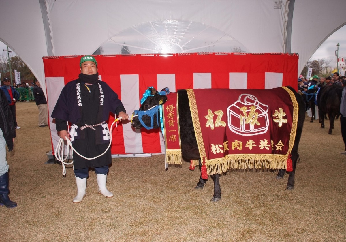 Wagyu Matsusaka Beef