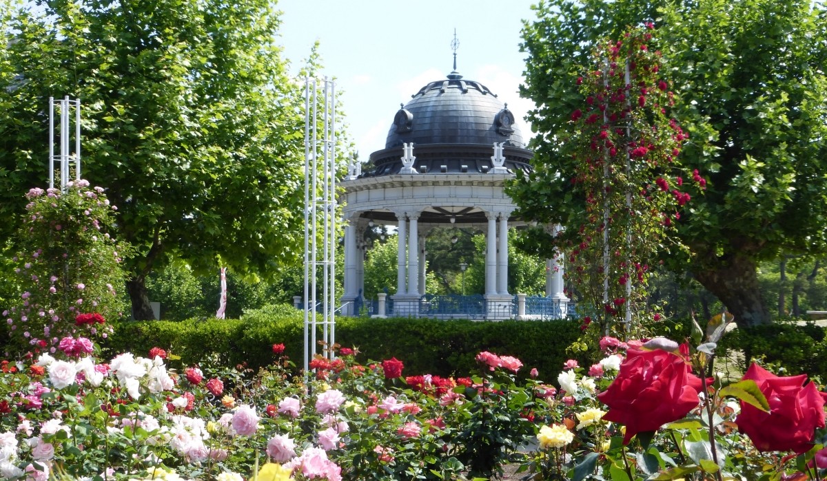 Lễ hội hoa hồng & Lễ hội hoa diên vĩ tại Công viên Tsuruma