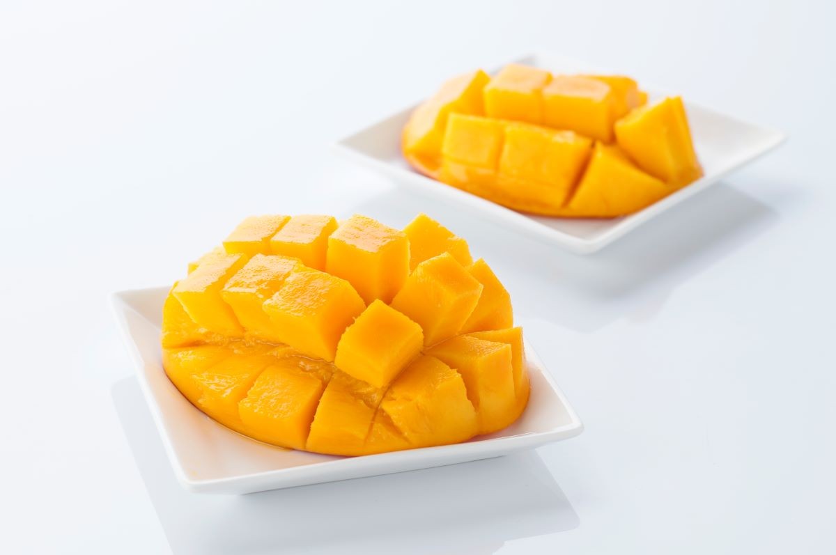 Musim Semi Mangga Miyazaki