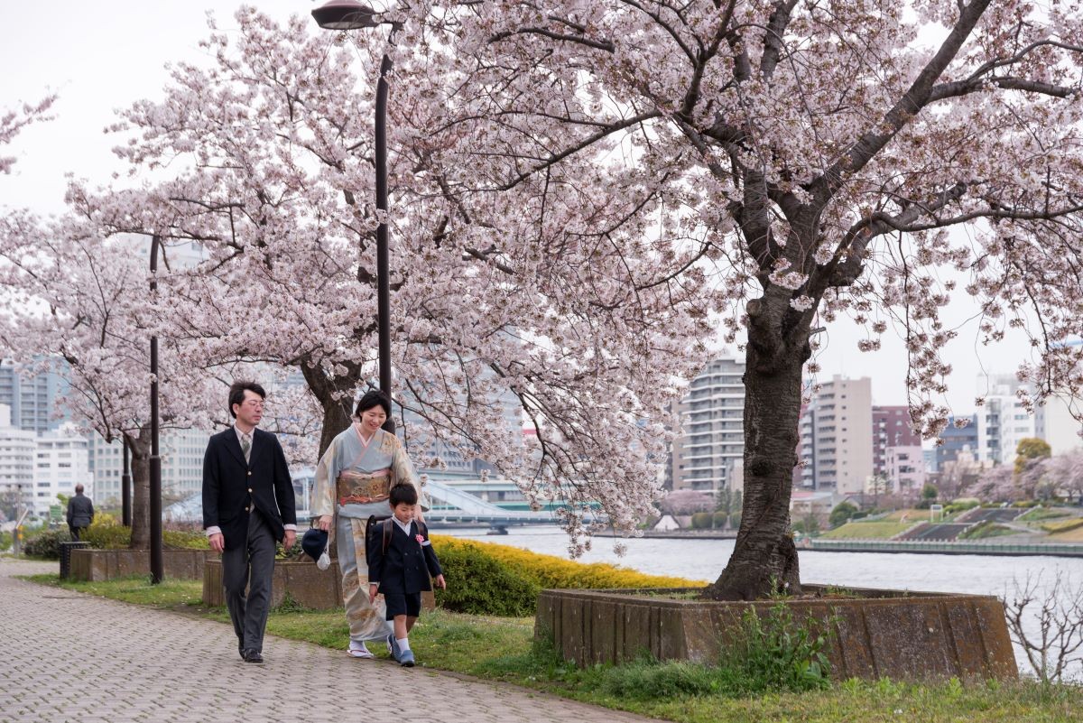 春 東京都 隅田川 桜