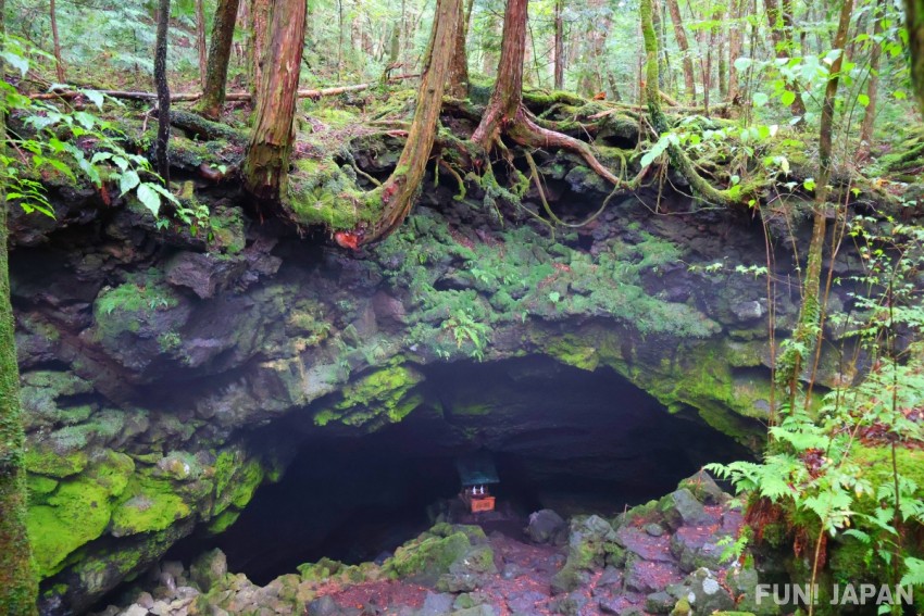 Aokigahara Jukai