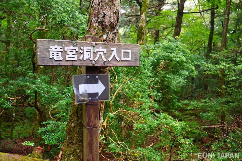 青木原樹海