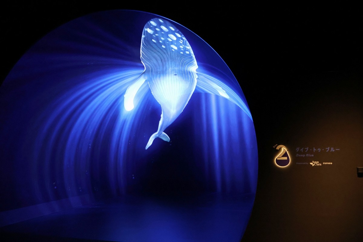Hình ảnh khu vực Dive to Blue