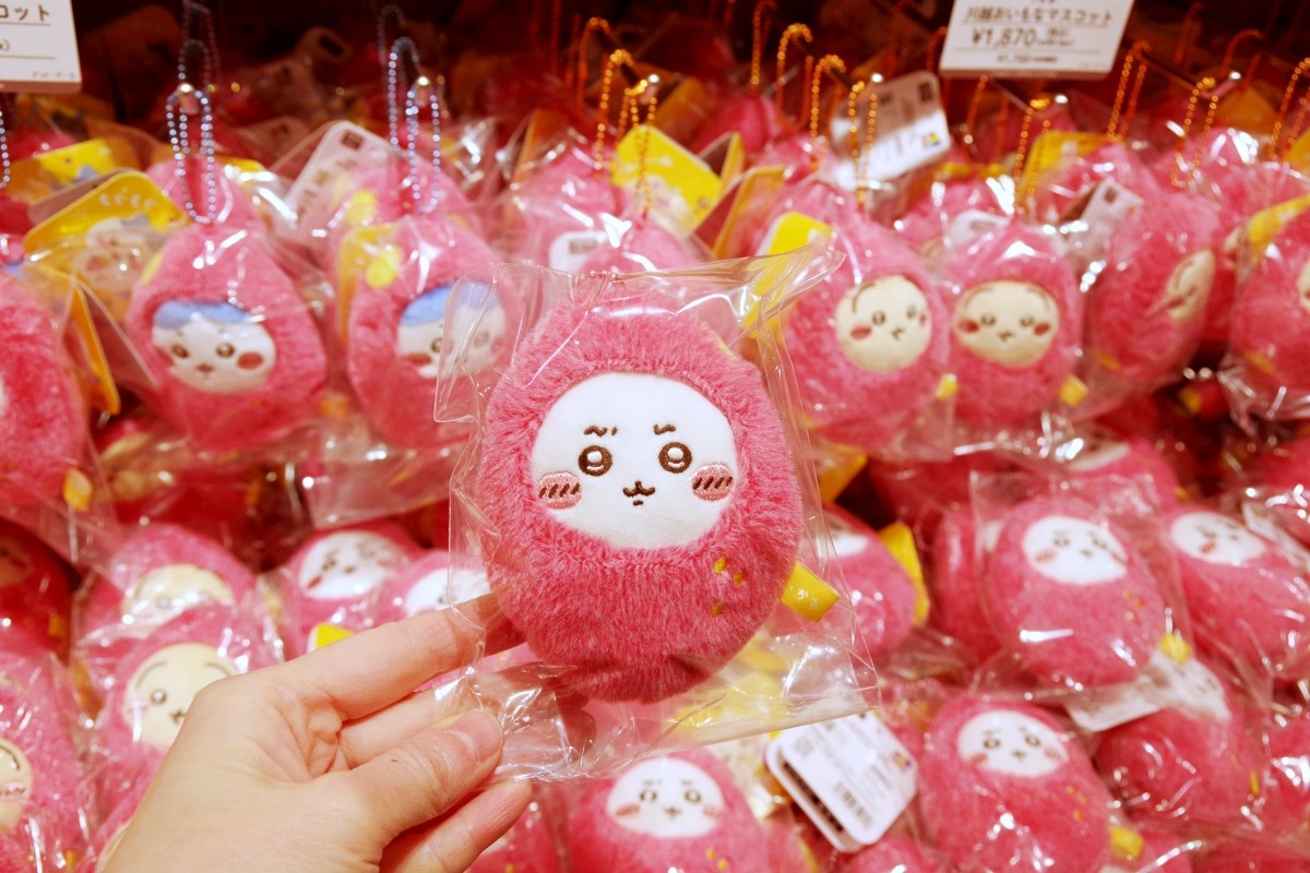 Chikawa Mogu Mogu Honpo Kawagoe Store ของที่ระลึกแนะนำ Sweets Limited