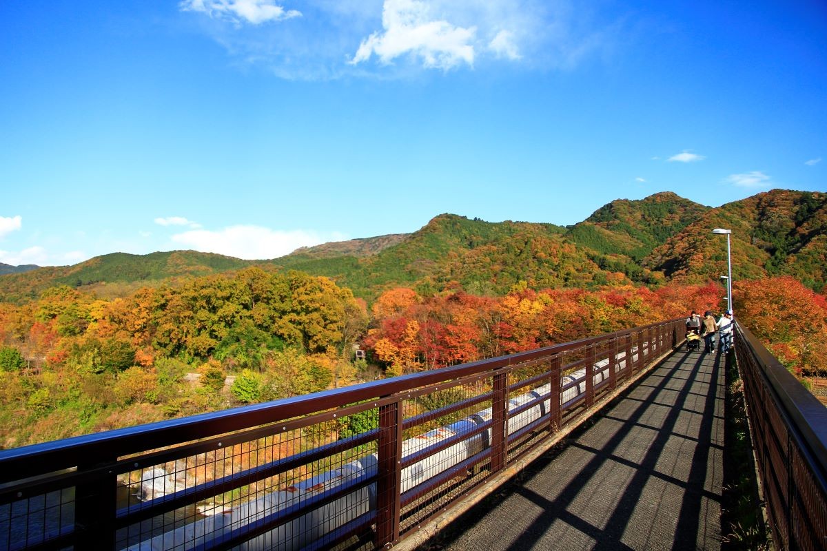 Lá đỏ, Cầu Kanaishi Suikankyo  Saitama, thời điểm đẹp nhất, khi nào, gợi ý.