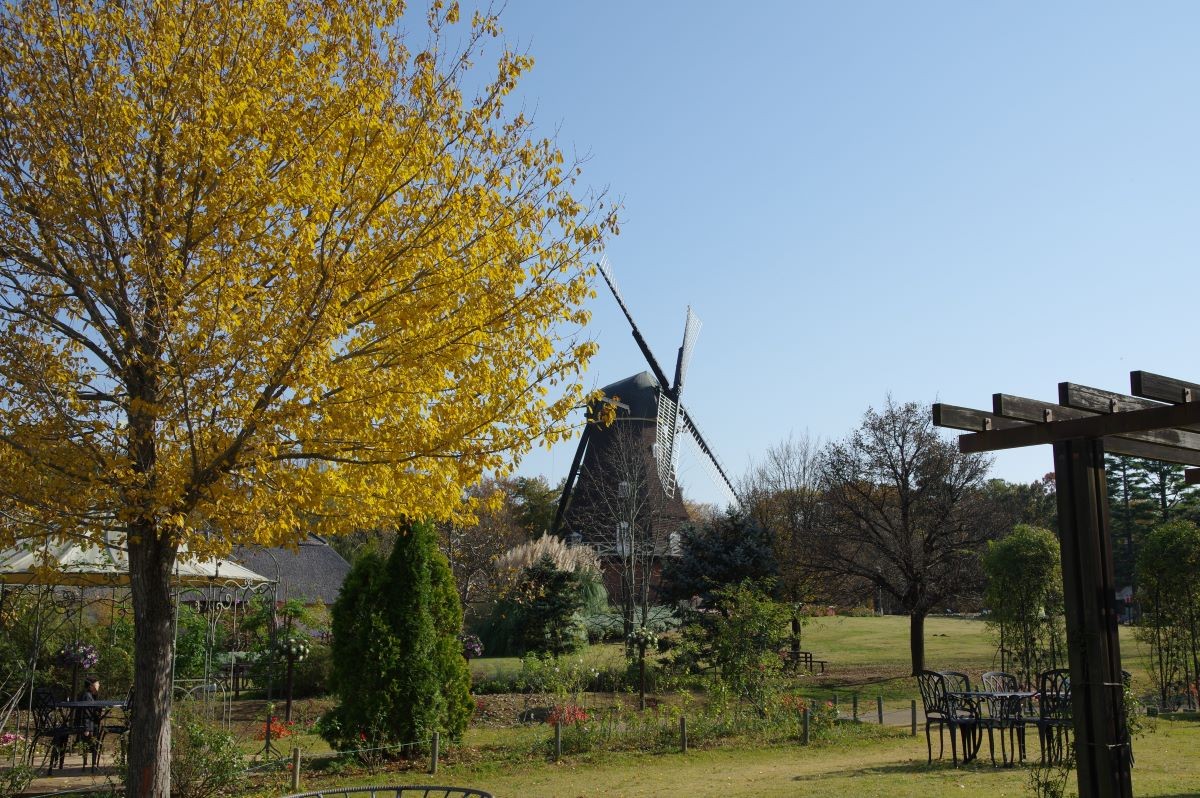 Lá đỏ, công viên Andersen Funabashi, Chiba, thời điểm đẹp nhất, khi nào, gợi ý.