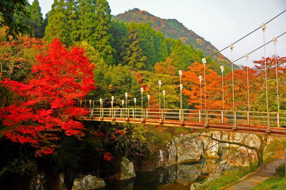 Momiji Sarutobi Sentsubo Oita