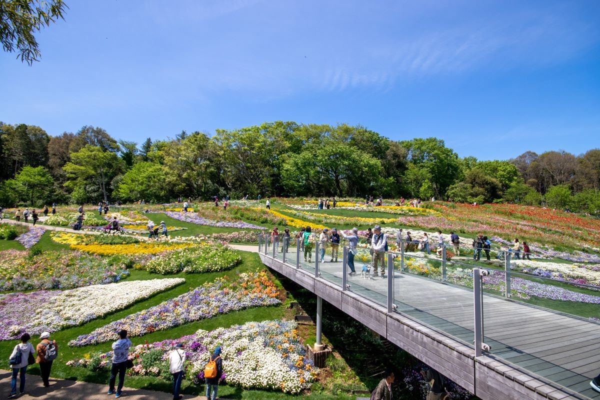 Satoyama Garden Festa, Musim semi, Yokohama