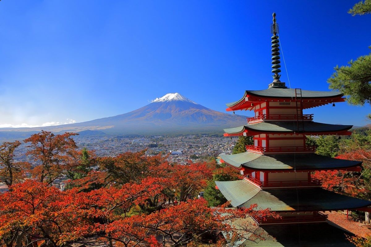 紅葉 山梨縣 新倉山淺間公園  最佳觀賞期 時間 推薦