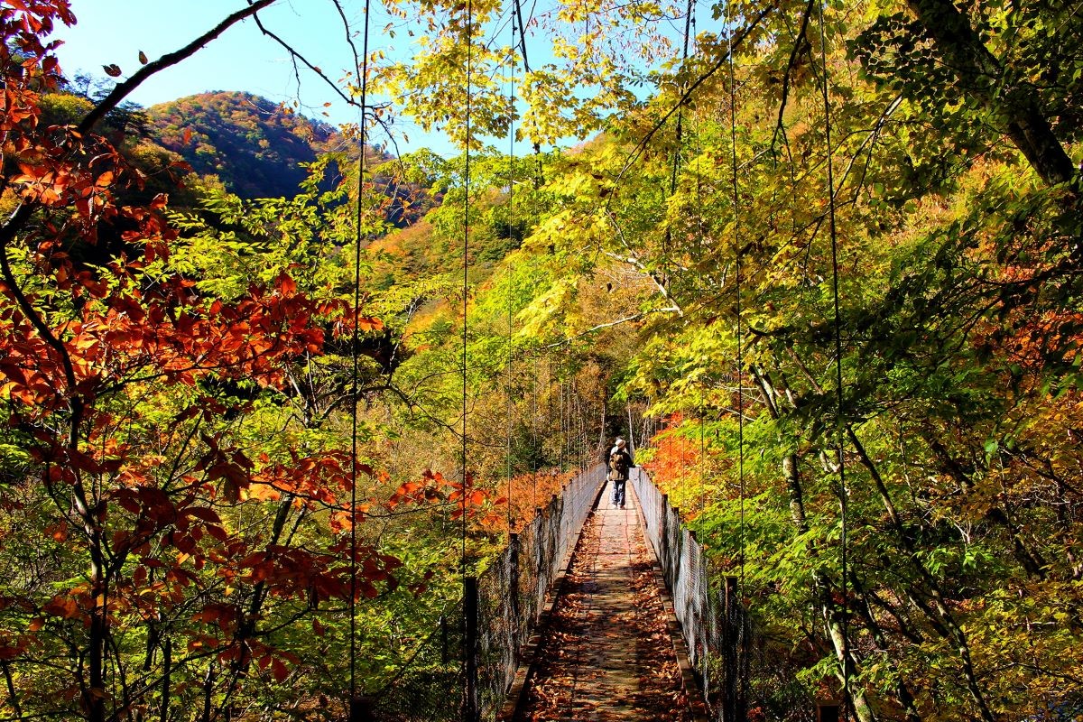 Lá đỏ, hẻm núi Nishizawa, Yamanashi, thời điểm đẹp nhất, khi nào, gợi ý.