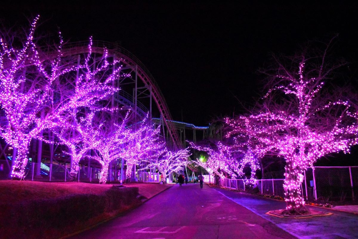 Greenland Wonder Illumination ~Starry Sky on Land~ (Kumamoto)