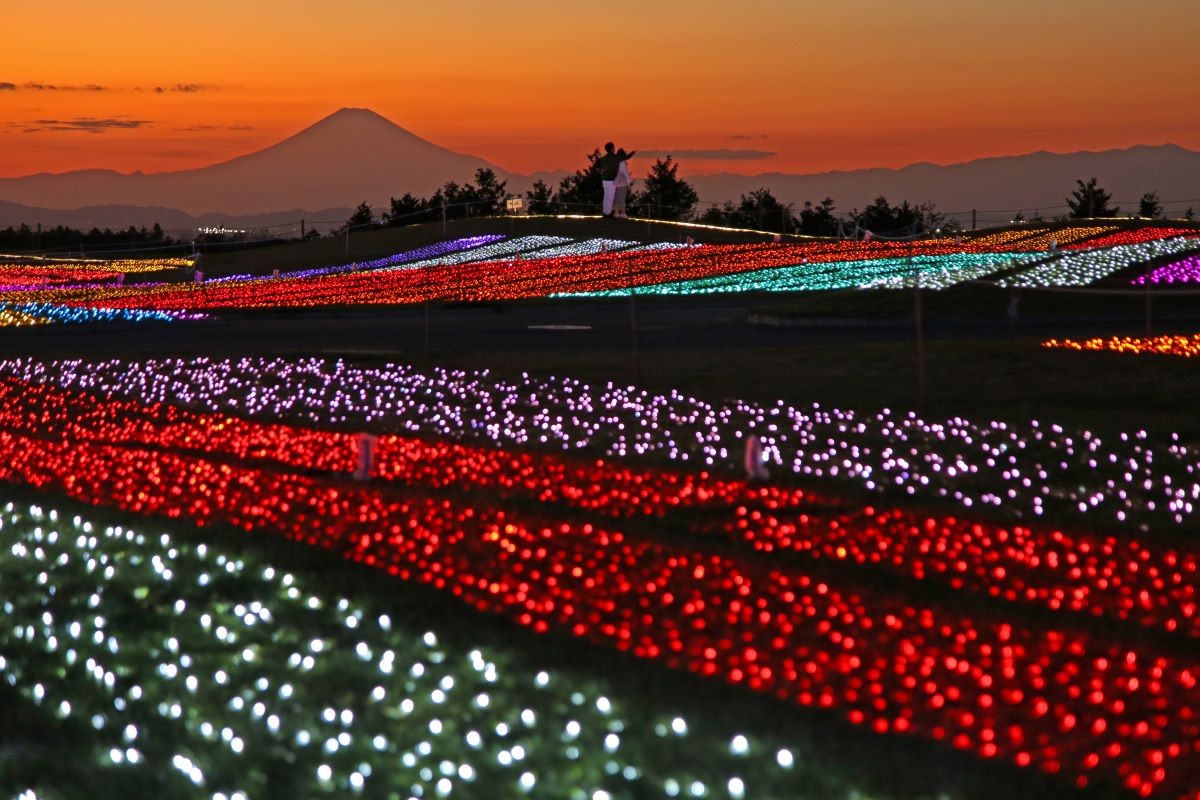  マザー牧場イルミネーション 光の花園 〜絵本の世界〜