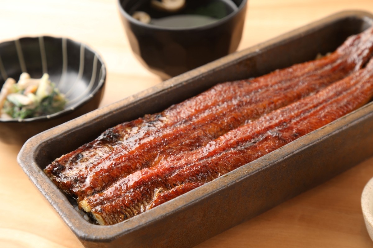 鰻魚四代目菊川