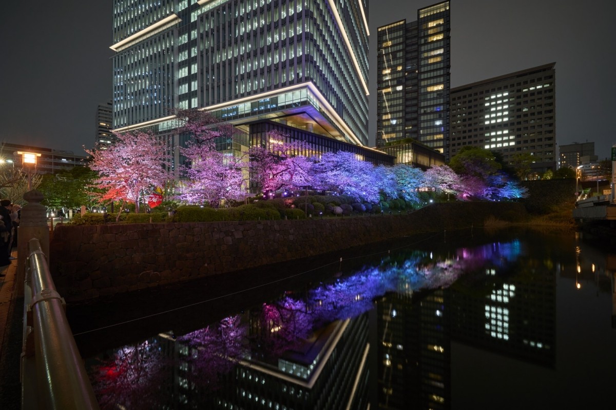 KIOI SPRING 紀尾井・花散步 櫻花 燈光秀