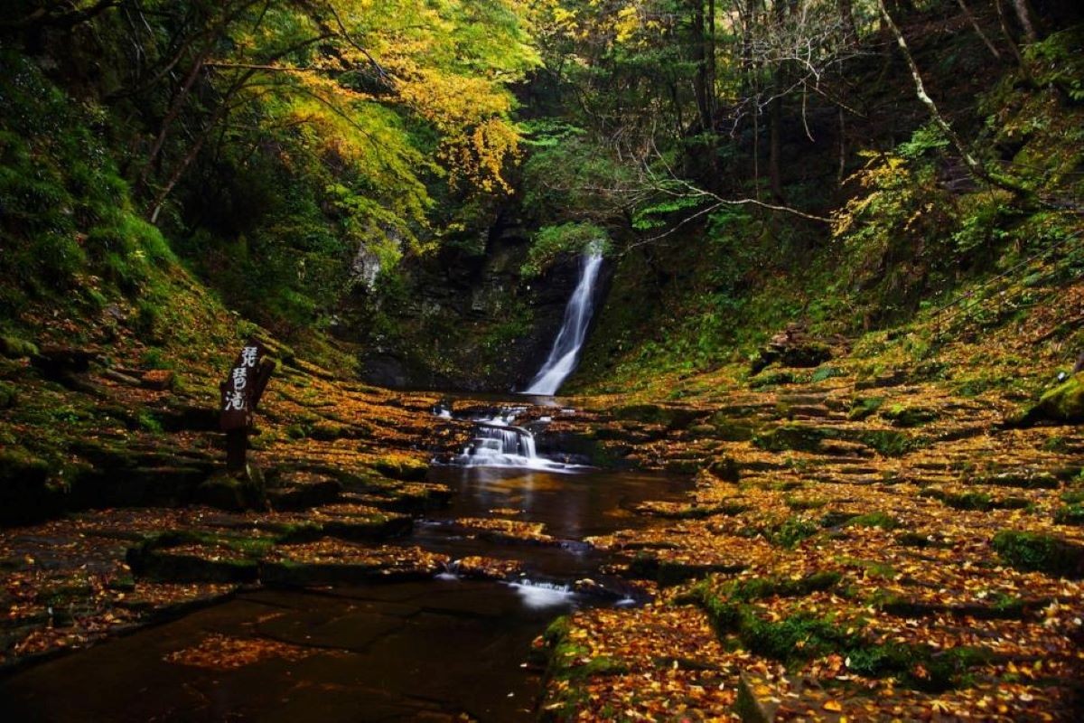 紅葉 赤目四十八滝 三重県