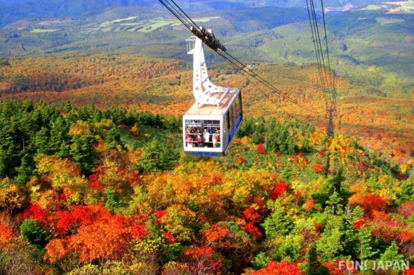 Lá đỏ Núi Hakkoda  Tỉnh Aomori