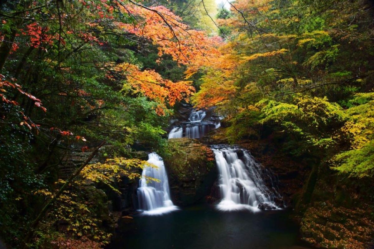 紅葉 赤目四十八滝 三重県