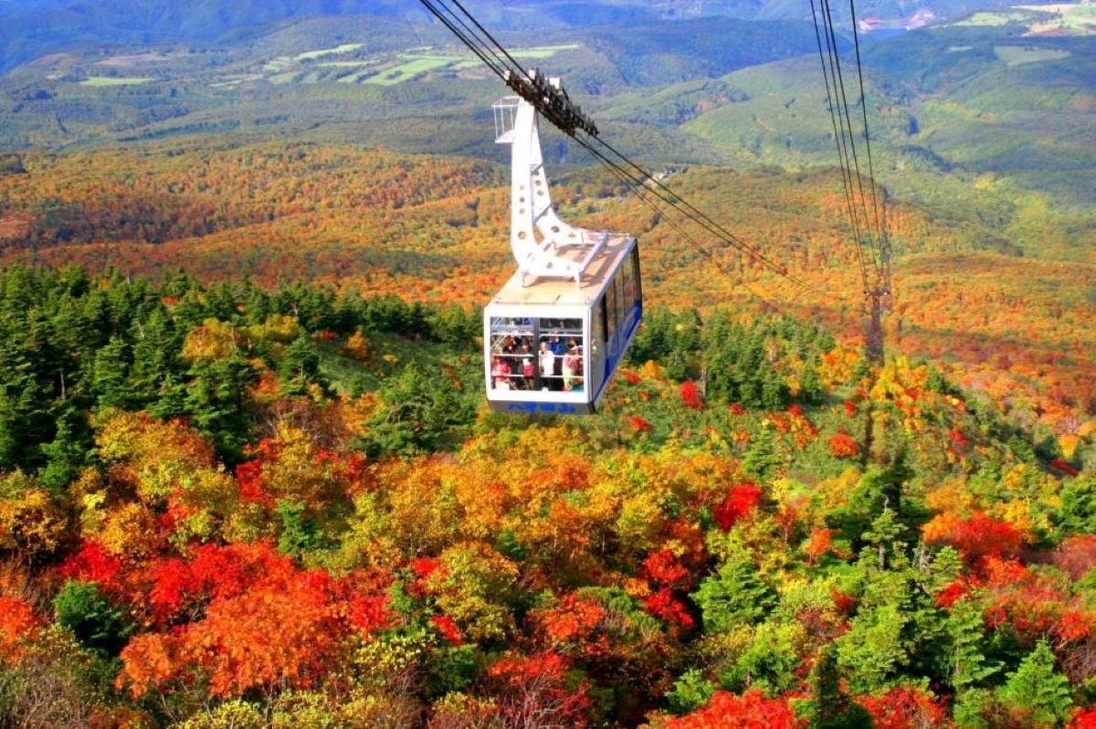 紅葉 八甲田山 日本青森縣