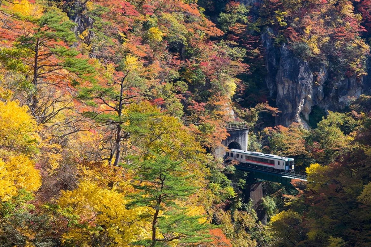 紅葉 鳴子峽 日本宮城縣