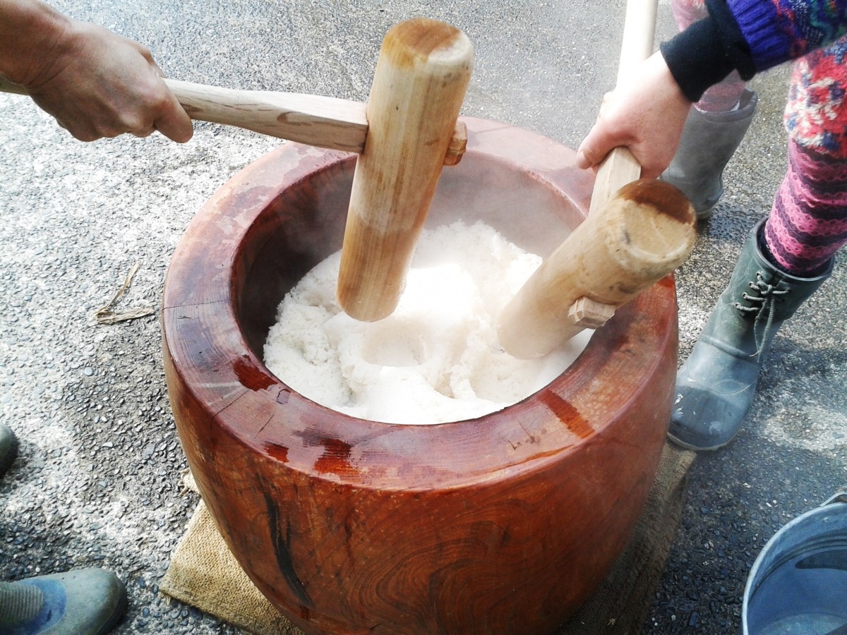 Musim Dingin? Simbol Musim Dingin Bunga Alam Makanan Acara Festival冬といえば？ 日本の冬の風物詩 花 自然 食べ物 行事 祭り 餅つき