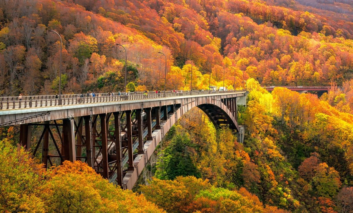 lá đỏ Vùng Tohoku Mùa đẹp nhất 