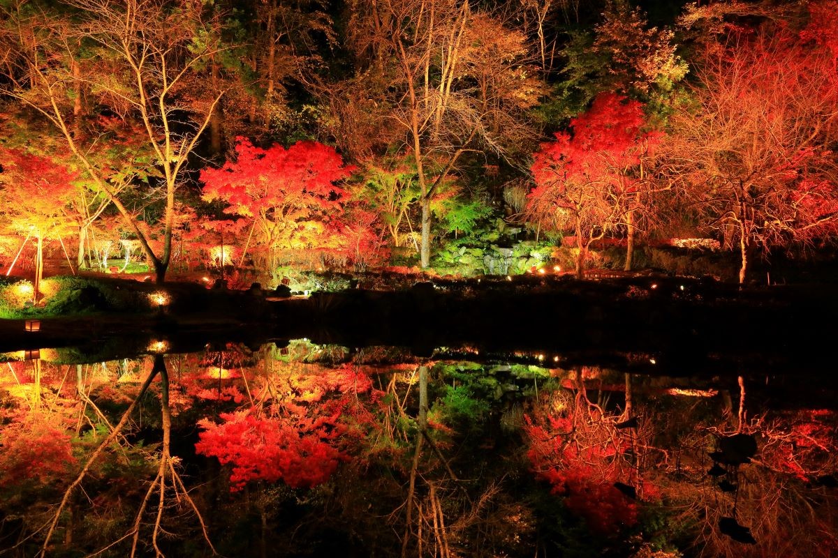 紅葉 東北エリア