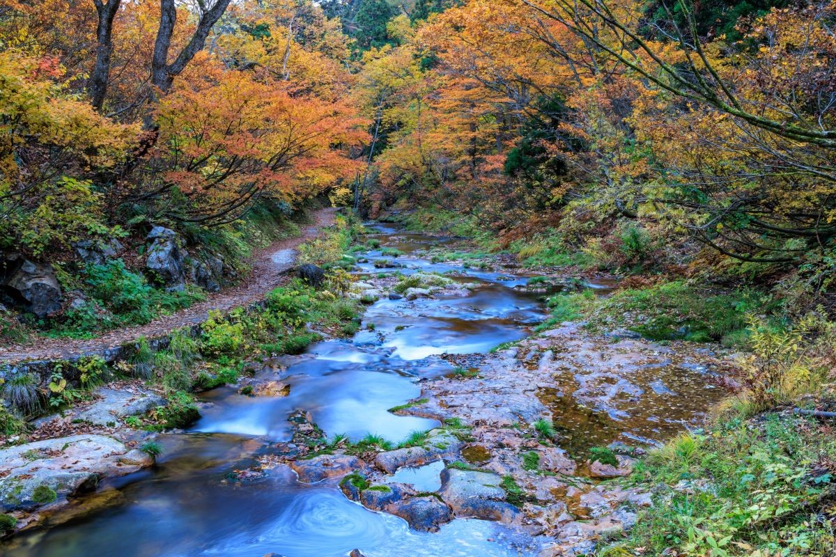 紅葉 銀山温泉 山形県