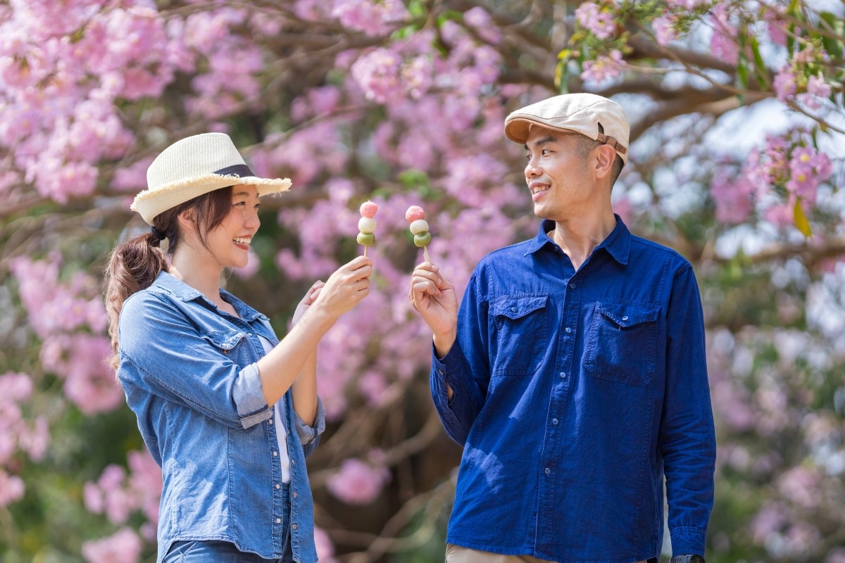 Biểu tượng của tháng 3 – Ngắm hoa anh đào