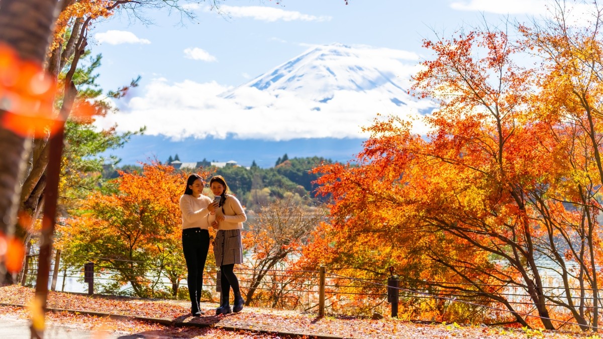 秋の風物詩 紅葉