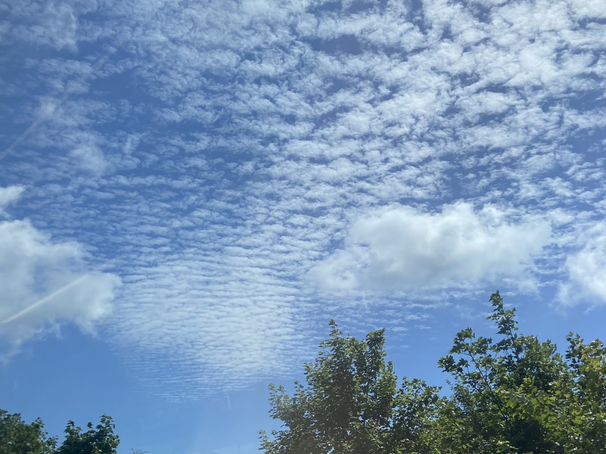 秋の風物詩 うろこ雲 いわし雲 さば雲