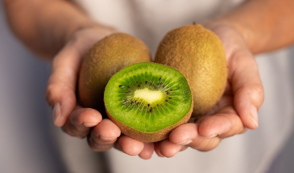 Kiwi Fruit