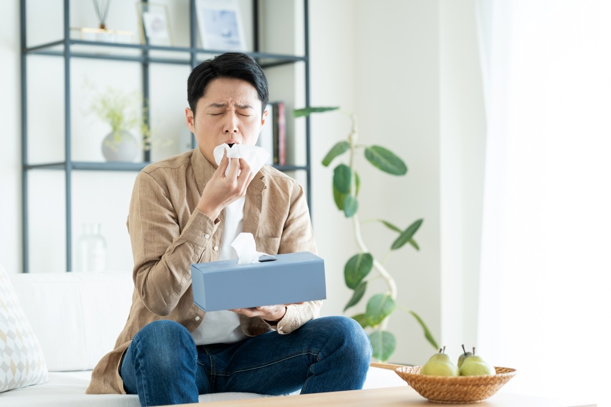 2026년 꽃가루 알레르기(카훈쇼) 유행 시기, 원인, 증상, 일본에서만? 잘 걸리는 사람의 특징