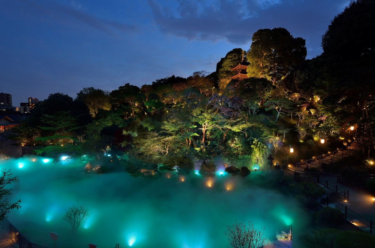 Tokyo Sea of Clouds Chinzanso Night Event