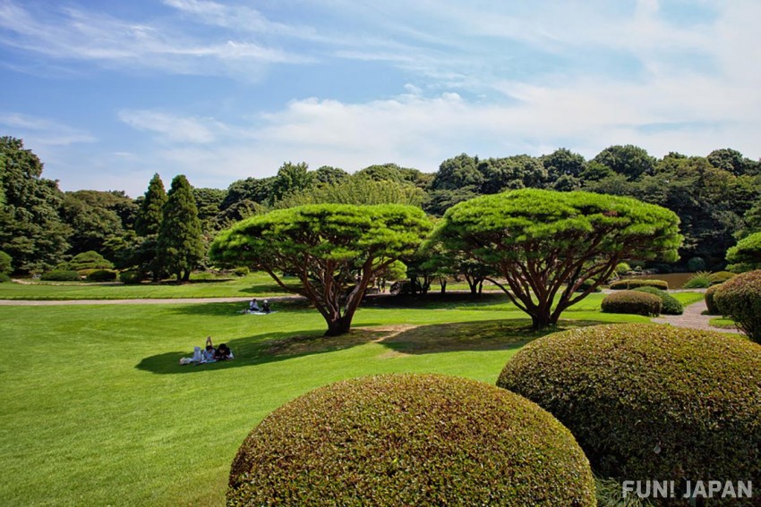 สวนชินจูกุเกียวเอ็น